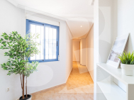 Atico · Segunda Mano TORREVIEJA · Centro