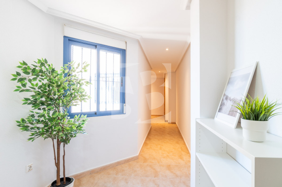 Atico - Segunda Mano - TORREVIEJA - Centro