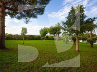 Апартамент · Продажа TORREVIEJA · La Mata