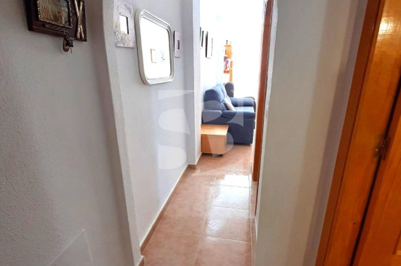 Apartment - Odsprzedaż - TORREVIEJA - Centro