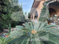 WILLA · Odsprzedaż TORREVIEJA · Los Frutales