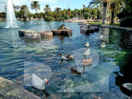 Апартамент · Продажа Torrevieja · Parque las naciones