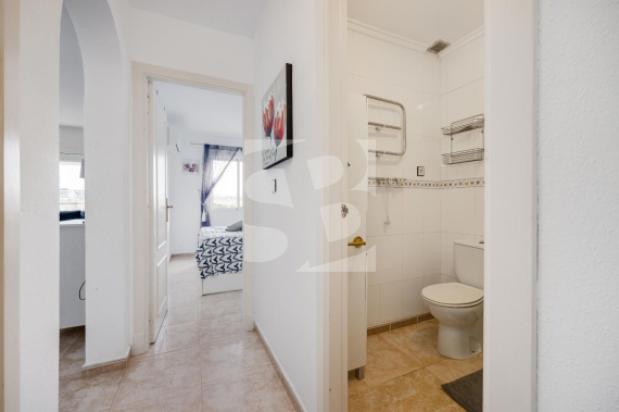 Bungalow - La Revente - TORREVIEJA - Zone Carrefour