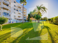 Apartment · Resale TORREVIEJA · La Mata