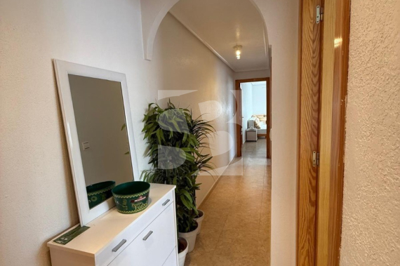 Apartment - Resale - TORREVIEJA - Nueva Torrevieja