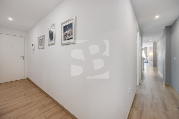 Apartamento - Segunda Mano - TORREVIEJA - Centro