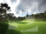 Bungalow · New Build SAN MIGUEL DE SALINAS · Blue Lagoon