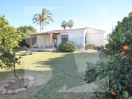 Villa · Segunda Mano TORREVIEJA · Los Frutales