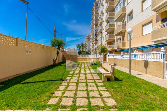 Апартамент - Продажа - TORREVIEJA - Nueva Torrevieja