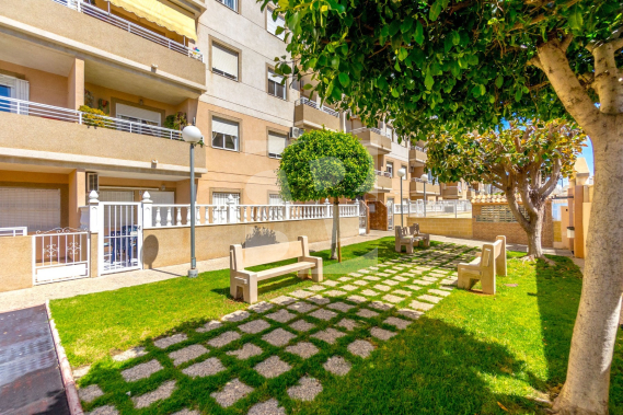 Апартамент - Продажа - TORREVIEJA - Nueva Torrevieja
