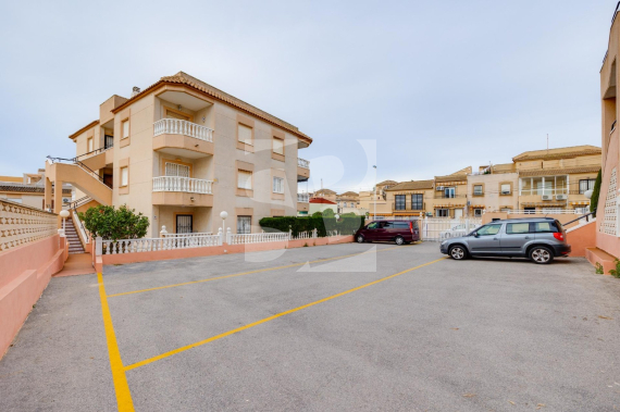 Apartamento - Segunda Mano - TORREVIEJA - Los Frutales