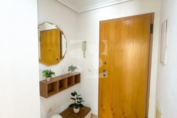 Apartamento - Segunda Mano - TORREVIEJA - Centro