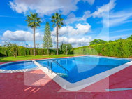 Bungalows Planta Alta · Segunda Mano TORREVIEJA · Zona Carrefour