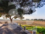 Bungalows Planta Alta · Segunda Mano TORREVIEJA · Zona Carrefour