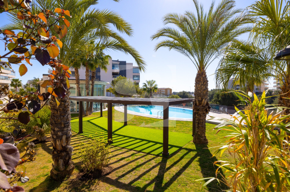 Apartamento - Segunda Mano - ORIHUELA COSTA - Villamartin