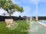 Bungalow · Odsprzedaż TORREVIEJA · 