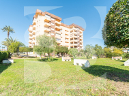 Apartamento · Segunda Mano ORIHUELA COSTA · La Zenia