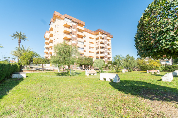 Апартамент - Продажа - ORIHUELA COSTA - La Zenia