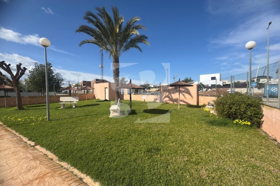 Bungalow - Odsprzedaż - LOS MONTESINOS - 