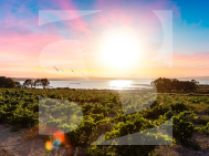 Bungalow · Segunda Mano LOS MONTESINOS · La Herrada