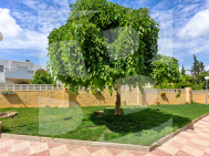 Bungalow · Odsprzedaż TORREVIEJA · El chaparral