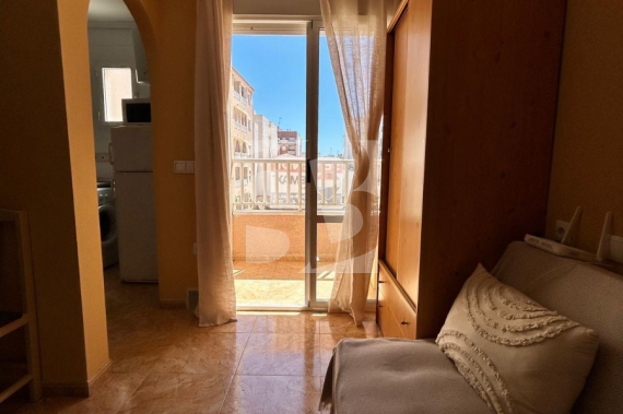 Studio - La Revente - TORREVIEJA - Centre