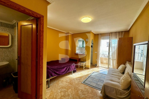 Studio - La Revente - TORREVIEJA - Centre