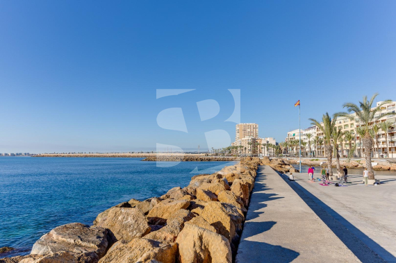 Apartment - Odsprzedaż - TORREVIEJA - Centro