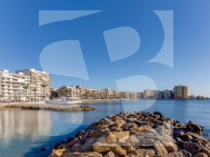 Apartment · Odsprzedaż TORREVIEJA · Centro