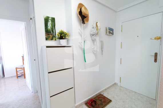 Апартамент - Продажа - TORREVIEJA - Nueva Torrevieja