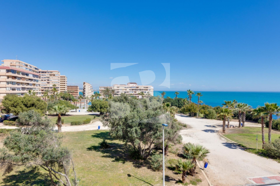Apartamento - Segunda Mano - TORREVIEJA - La Mata