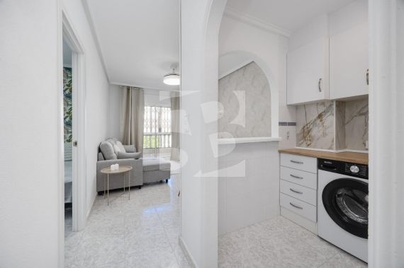 Apartamento - Segunda Mano - TORREVIEJA - Centro