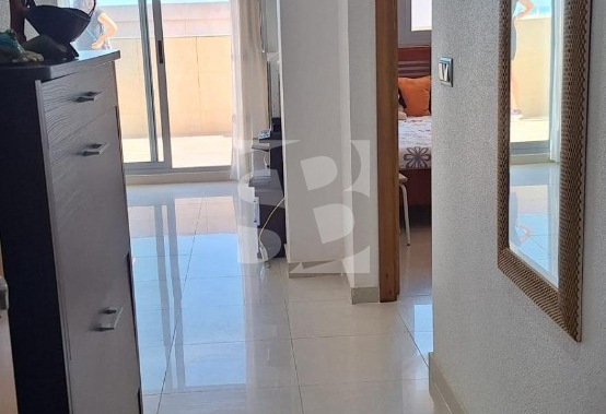 Attique - La Revente - TORREVIEJA - La Mata