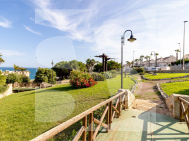 Bungalow · La Revente TORREVIEJA · Los Frutales