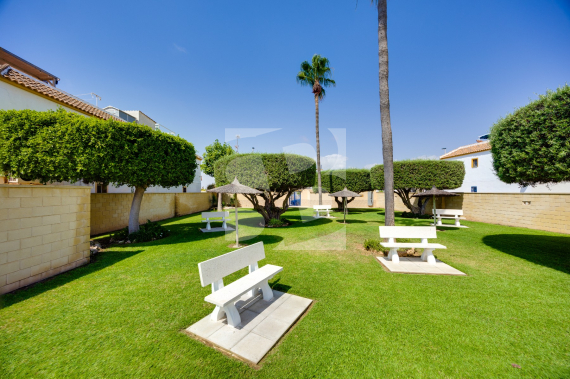 Bungalow - Resale - TORREVIEJA - Carrefour Area