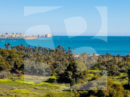 Chalet · Resale TORREVIEJA · Los Balcones
