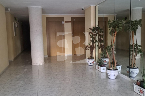 Apartment - Resale - TORREVIEJA - Centro