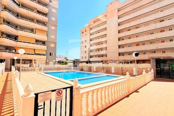 Apartamento - Segunda Mano - TORREVIEJA - Nueva Torrevieja
