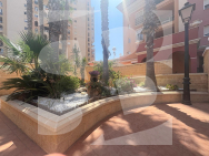 Apartamento · Segunda Mano TORREVIEJA · Playa De Los Locos