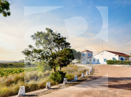 Bungalow · Odsprzedaż TORREVIEJA · 