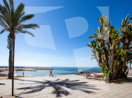 Apartamento · Segunda Mano TORREVIEJA · Centro