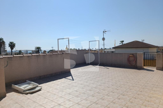 Villa - Resale - TORREVIEJA - Los Frutales