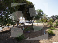 Смежный дом · Продажа TORREVIEJA · Torretas