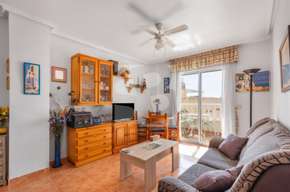 Apartamento - Segunda Mano - TORREVIEJA - Nueva Torrevieja