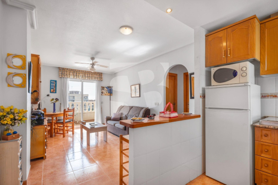 Apartamento - Segunda Mano - TORREVIEJA - Nueva Torrevieja