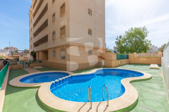 Apartamento - Segunda Mano - TORREVIEJA - Nueva Torrevieja