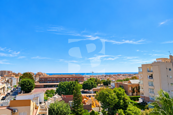 Apartment - Nowo zbudowane - TORREVIEJA - Calas blanca